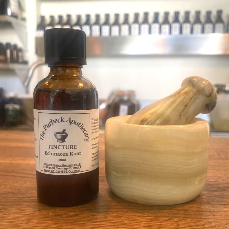 Echinacea Root - Tincture