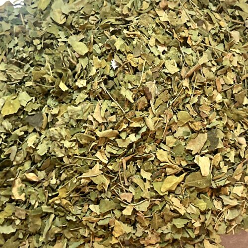 Moringa Leaf