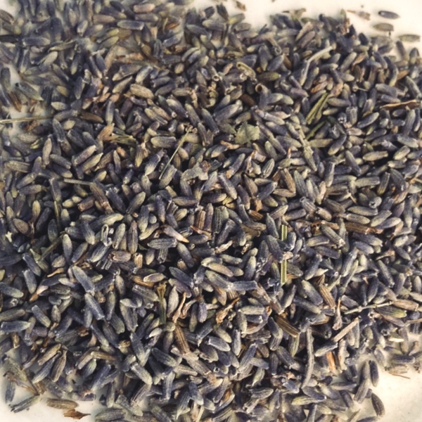 Organic Lavender Earl Grey